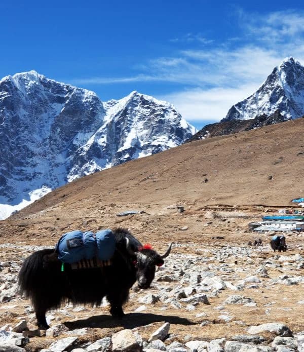 Everest Region Trekking: Seasonal Weather Preparation Tips