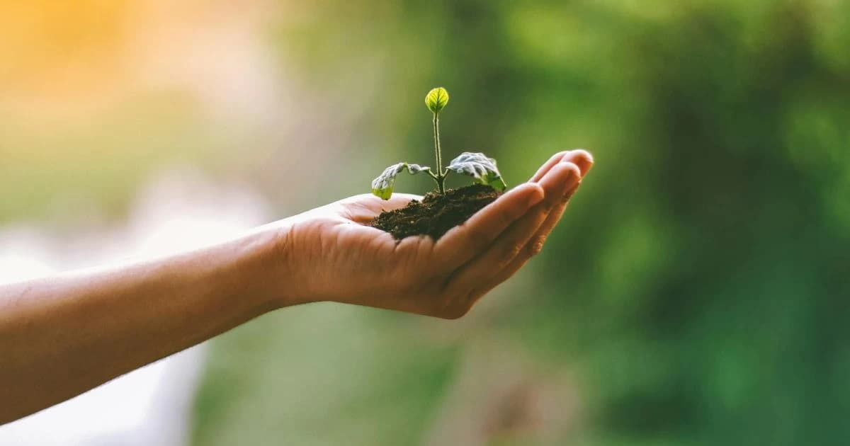 Himalayan Massif Trek's focus on Sustainable Travel