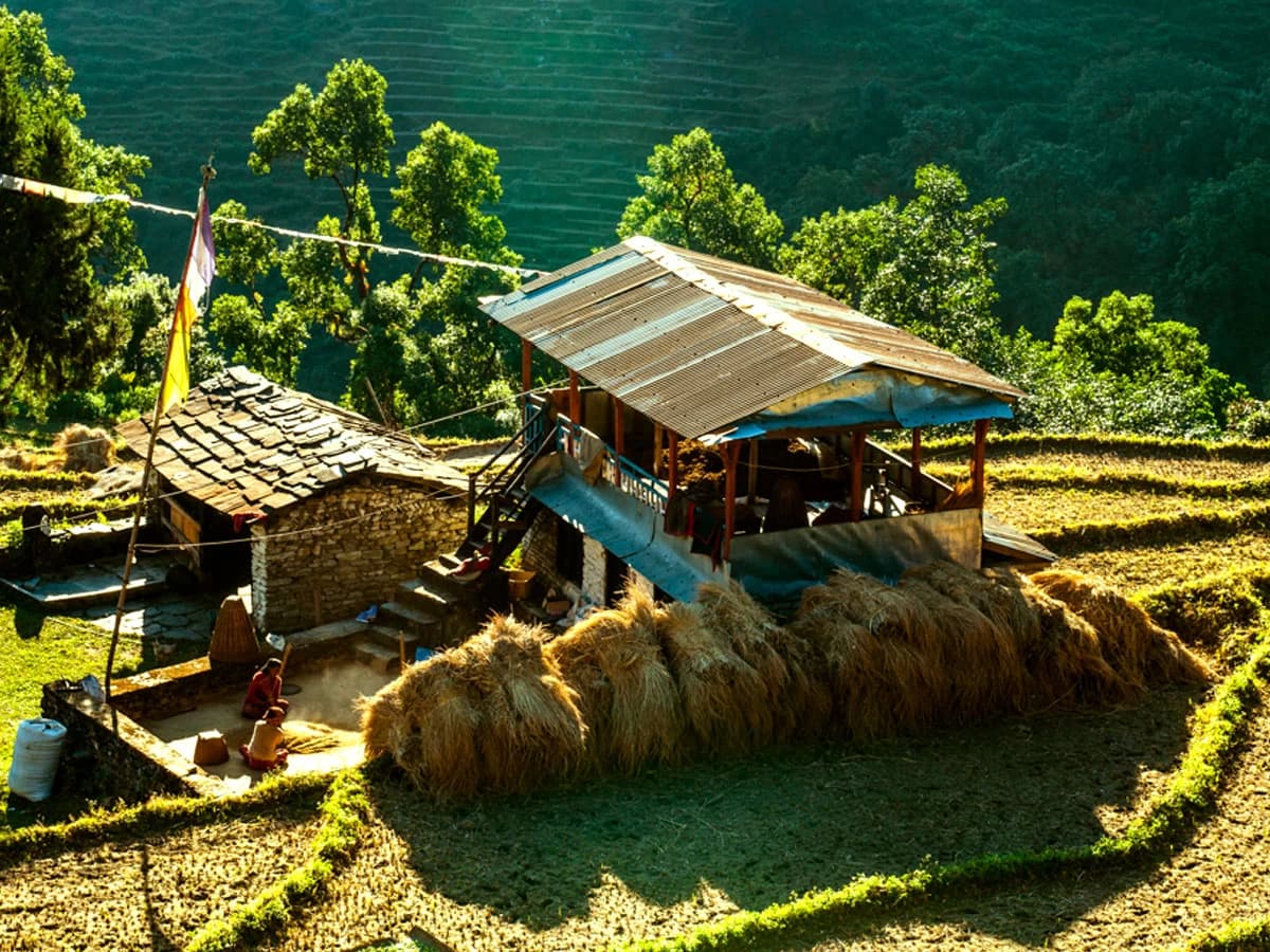 abc trekking from pokhara