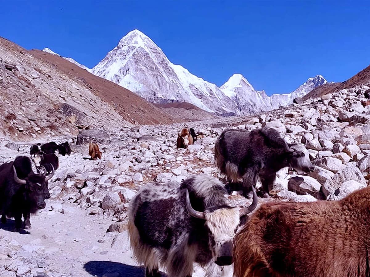 EBC trek with overnight at base camp