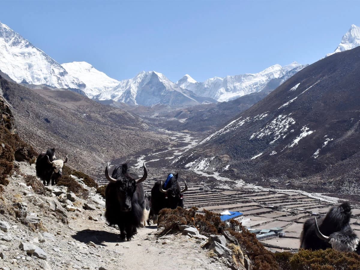 Island peak view from dingboche