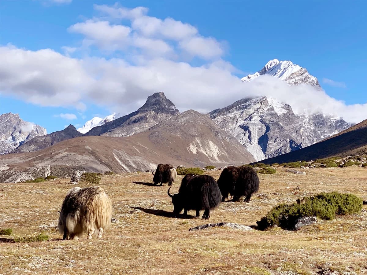 everest base camp luxury trek