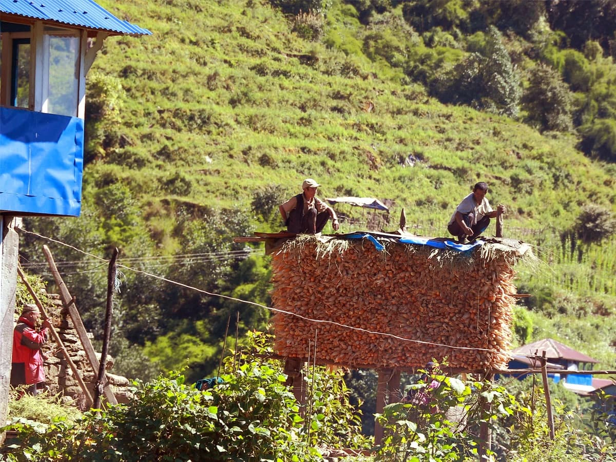 Local Lifestyle In Annapurna Region