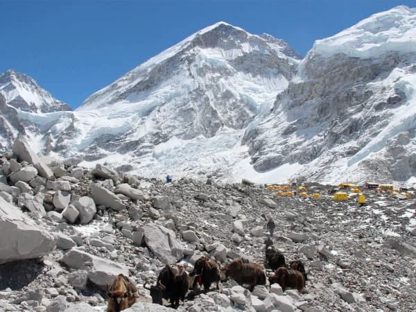 Ebc Trek 8 Days