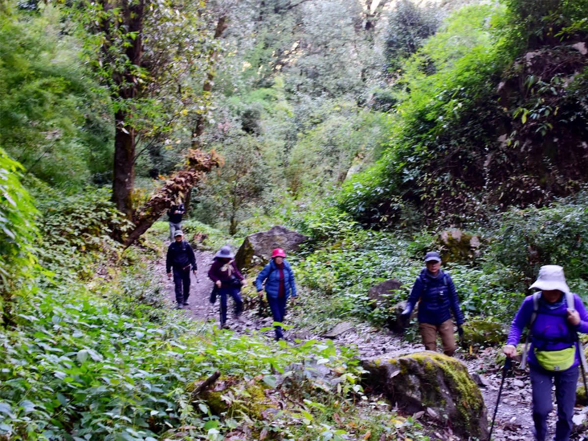 Trekkers Trekking To Langtang Valley