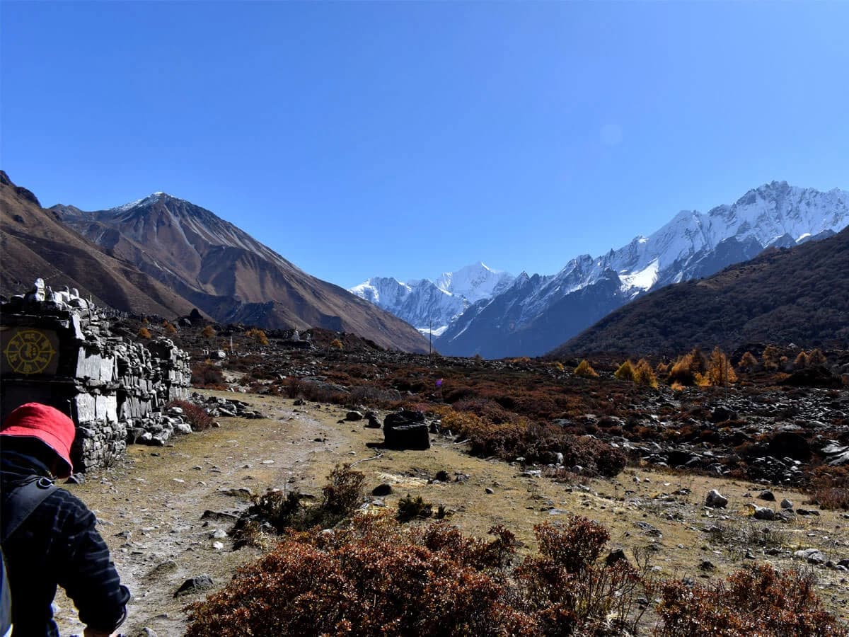 View From Langtang Village